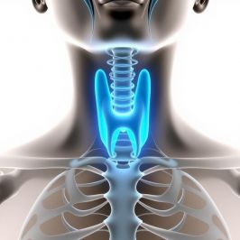 Пункция щитовидной железы