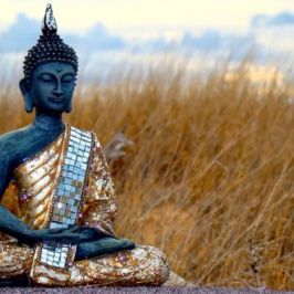В чем суть ступени йоги Дхарана