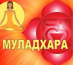 Муладхара