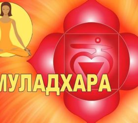 Муладхара