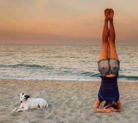 Ширшашана