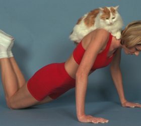 Котойога