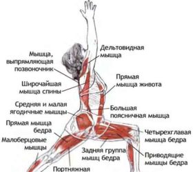 Поза воина